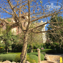 фото из отзыва ID 2097621