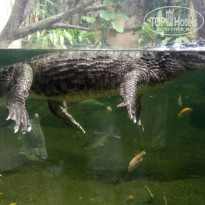 фото из отзыва ID 2097631