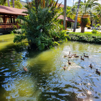 фото из отзыва ID 2097643