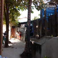 фото из отзыва ID 2097777