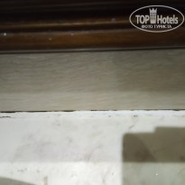 фото из отзыва ID 2096024