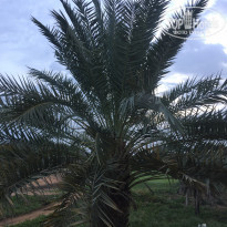 фото из отзыва ID 2097848