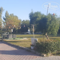 фото из отзыва ID 2097872