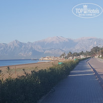 фото из отзыва ID 2097872