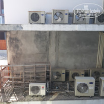 фото из отзыва ID 2097988