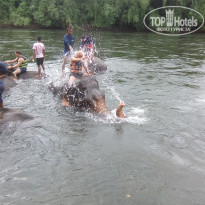 фото из отзыва ID 2097631