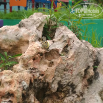 фото из отзыва ID 2098061