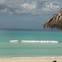 фото из отзыва ID 2098061