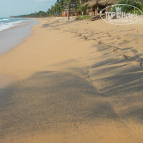 фото из отзыва ID 2098122