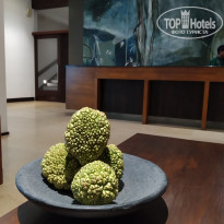 фото из отзыва ID 2098122