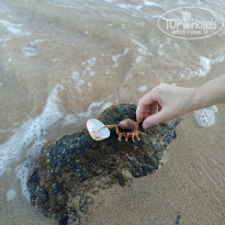 фото из отзыва ID 2098122