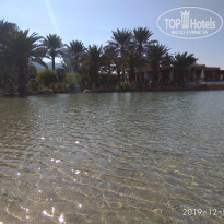 фото из отзыва ID 2098039