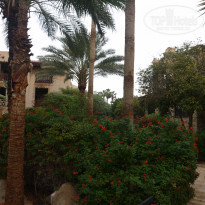 фото из отзыва ID 2098039