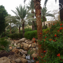 фото из отзыва ID 2098039