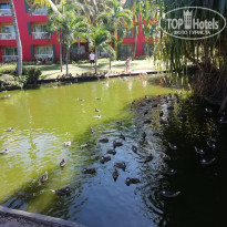 фото из отзыва ID 2097925