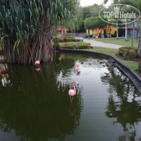 фото из отзыва ID 2097925