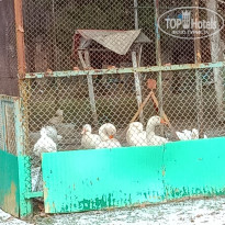 фото из отзыва ID 2098406