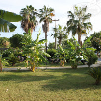 фото из отзыва ID 2098422