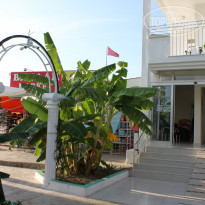 фото из отзыва ID 2098422