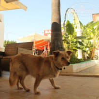 фото из отзыва ID 2098422