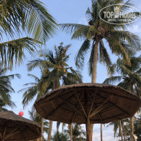 фото из отзыва ID 2098465