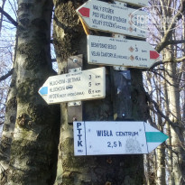 фото из отзыва ID 2096223