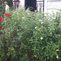 фото из отзыва ID 2098527