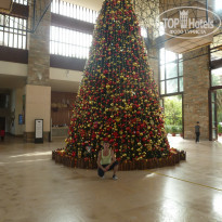 фото из отзыва ID 2098487