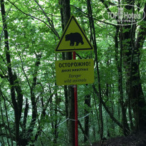 фото из отзыва ID 2098624