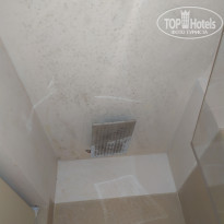 фото из отзыва ID 2098638