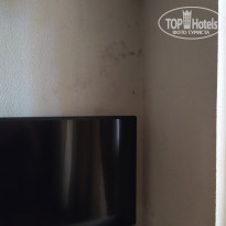 фото из отзыва ID 2098638