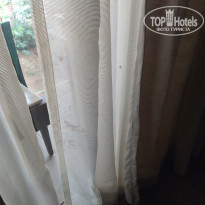 фото из отзыва ID 2098638