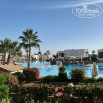 фото из отзыва ID 2098641