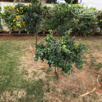 фото из отзыва ID 2092839