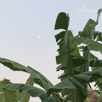 фото из отзыва ID 2098696