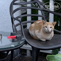 фото из отзыва ID 2098696