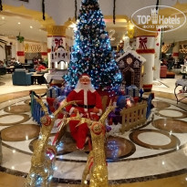 фото из отзыва ID 2098746