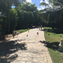 фото из отзыва ID 2098714