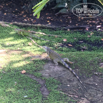 фото из отзыва ID 2098714