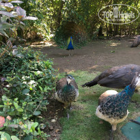 фото из отзыва ID 2098714