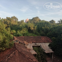 фото из отзыва ID 2098774