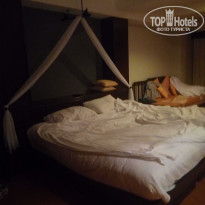 фото из отзыва ID 2098777