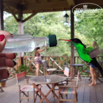 фото из отзыва ID 2098727