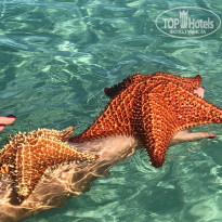 фото из отзыва ID 2098727