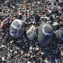 фото из отзыва ID 2098811