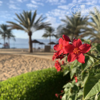 фото из отзыва ID 2098817