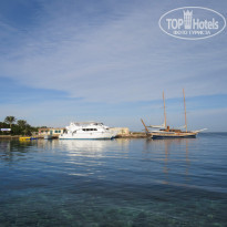 фото из отзыва ID 2098836