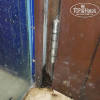 фото из отзыва ID 2098853