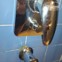 фото из отзыва ID 2098853