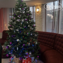 фото из отзыва ID 2098932